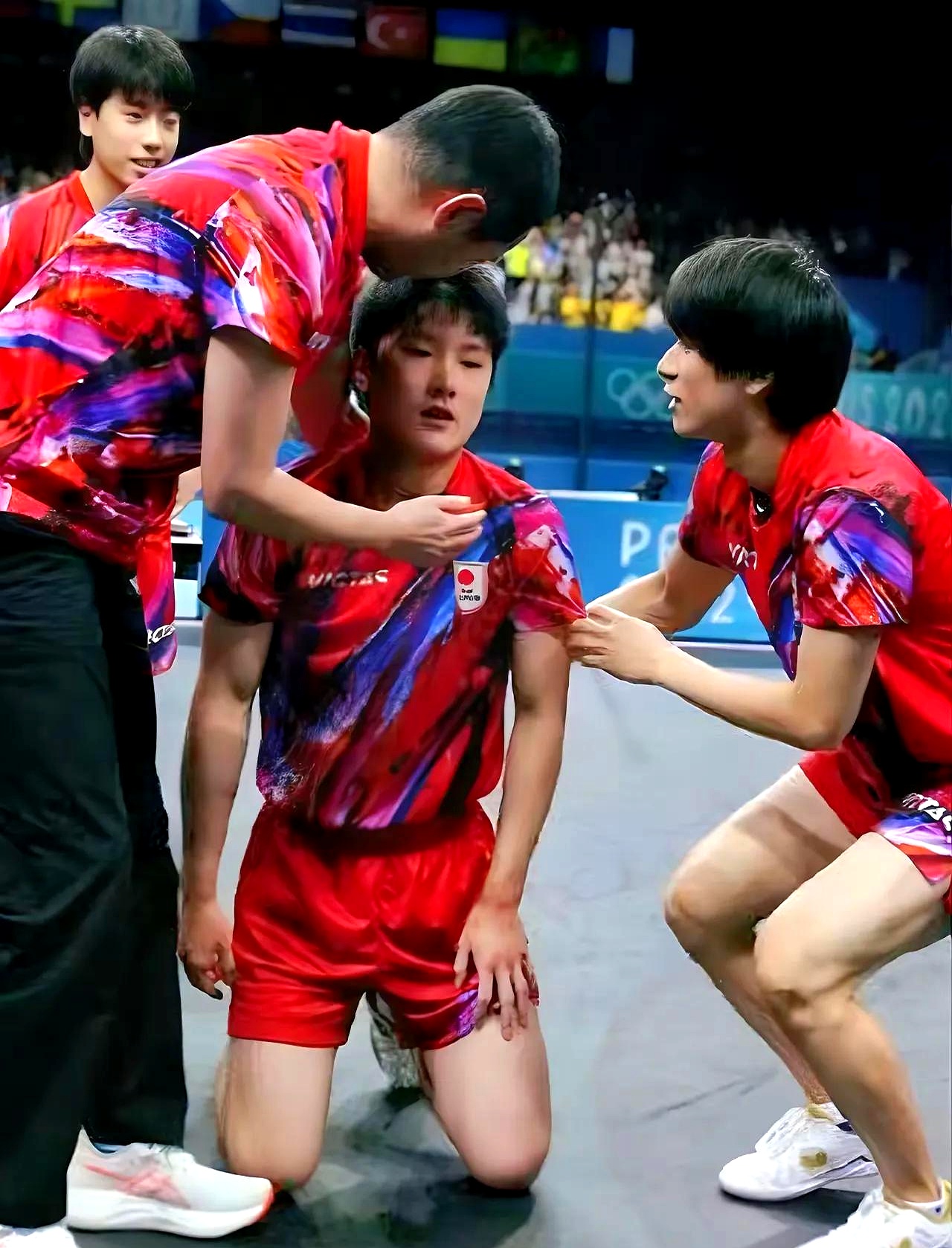 关于奥地利队碾压日本队,张本智和惊艳四座的信息 关于奥地利队碾压日本队,张本智和惊艳四座的信息